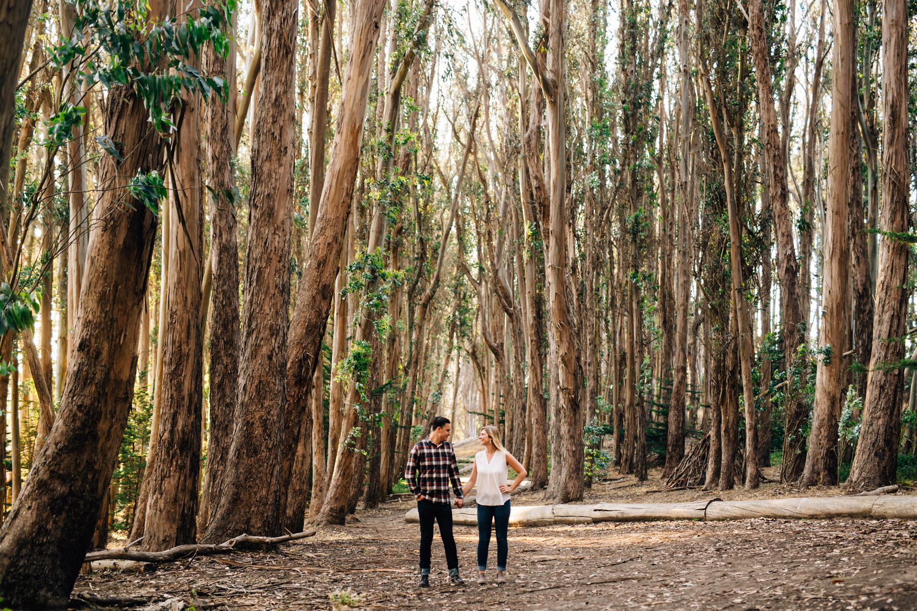 San Francisco Engagement 