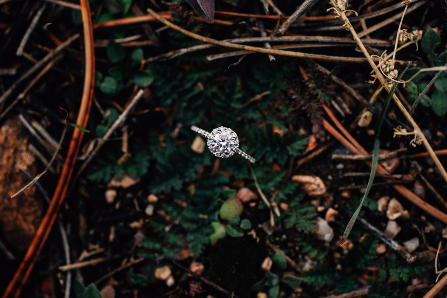 Mountain Winter Engagement Photos 