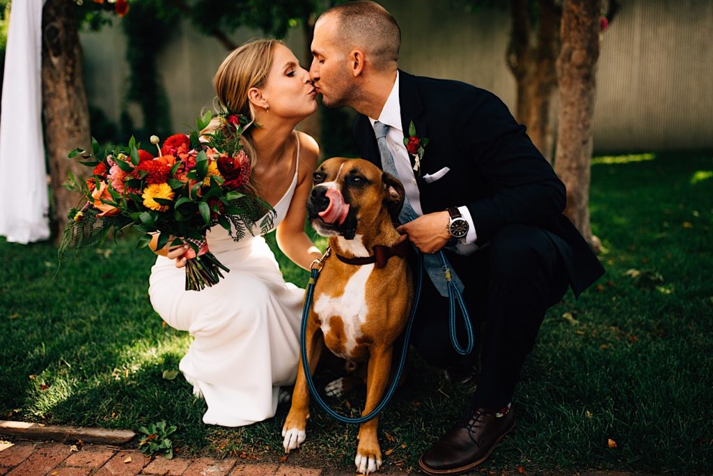 A bride and groom both crouch down and kiss one another while their dog sits in between them looking at the camera. The bride and groom are dressed for their wedding, the bride is holding a flower bouquet and they are outdoors at their wedding venue