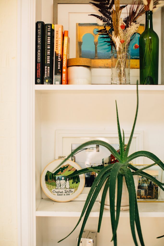 Photo of shelving in a home with books, plants, pictures and other items on the shelves