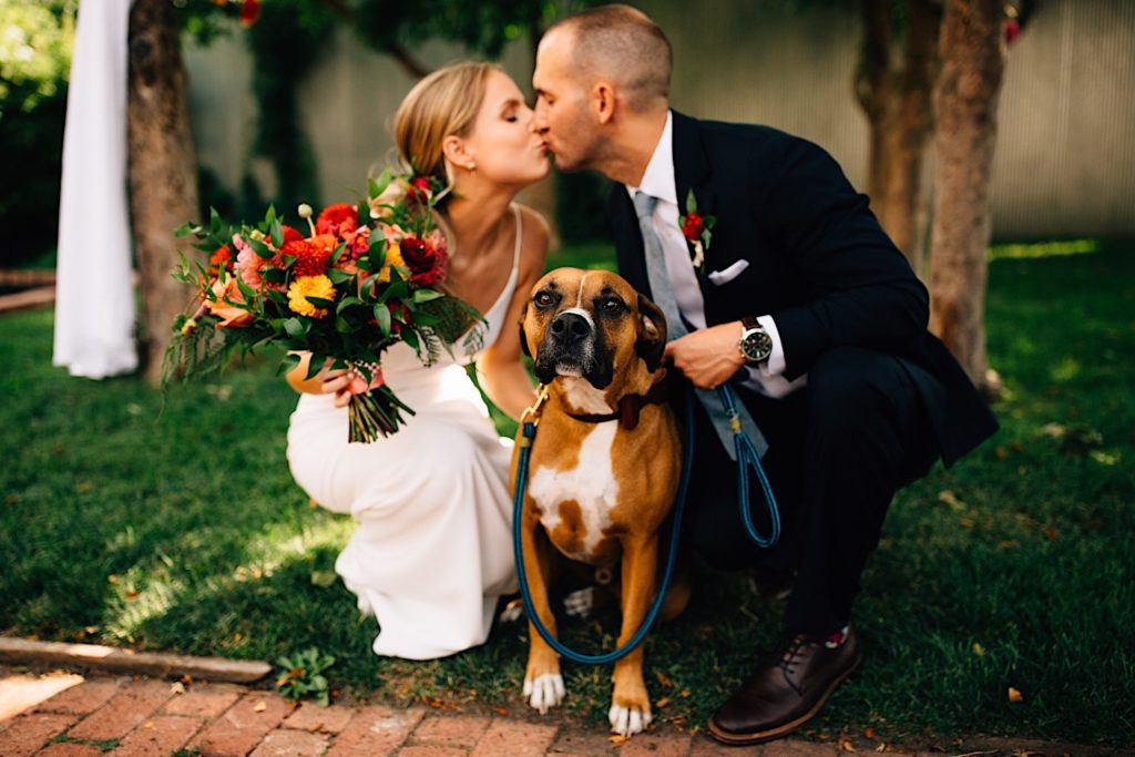 A bride and groom both crouch down and kiss one another while their dog sits in between them looking at the camera. The bride and groom are dressed for their wedding, the bride is holding a flower bouquet and they are outdoors at their wedding venue