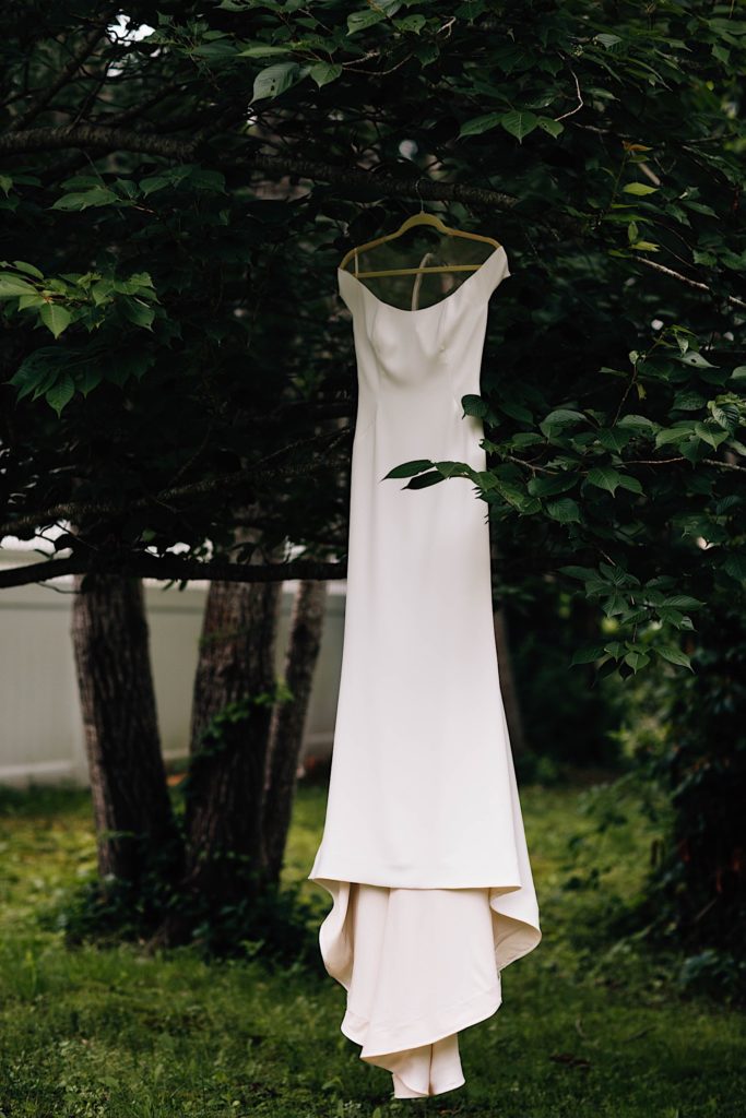 A wedding dress on a hanger hung on the limb of a tree.